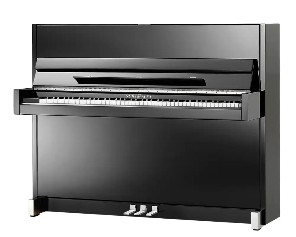 C 116 Modern Schwarz poliert