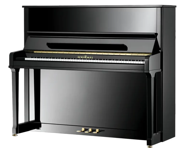 C 126 Tradition Schwarz poliert