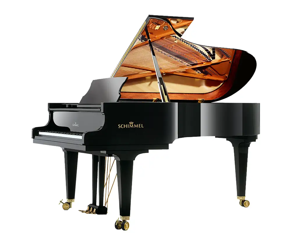 K 219 Tradition Noir brillant