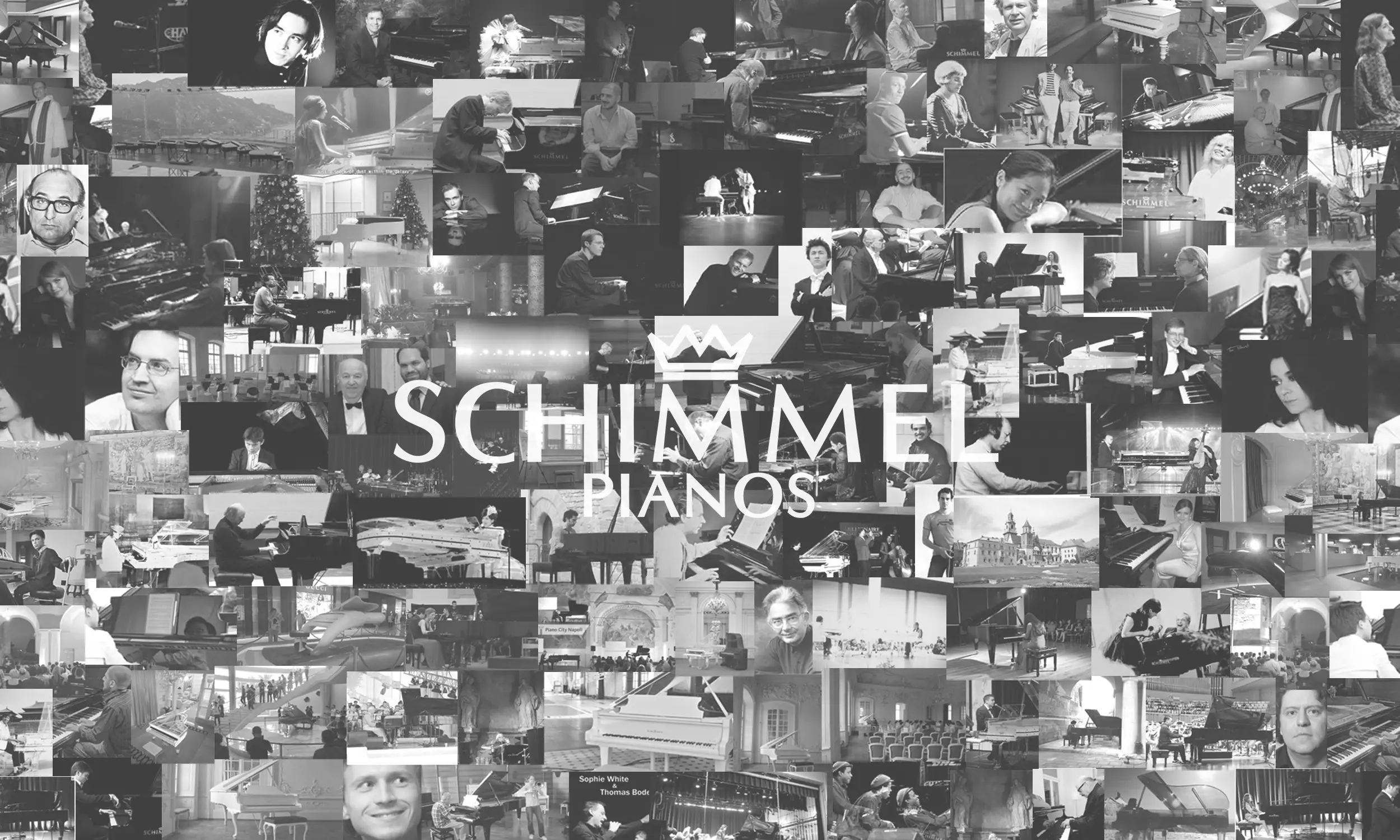 Schimmel Referenzen Titelbild