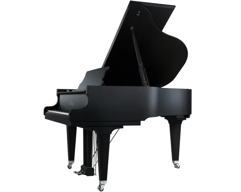 C 169 Black Pearl schwarz super matt