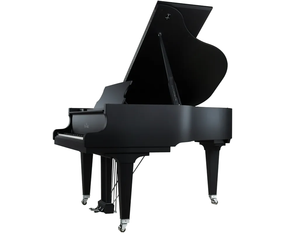 C 169 Black Pearl schwarz super matt