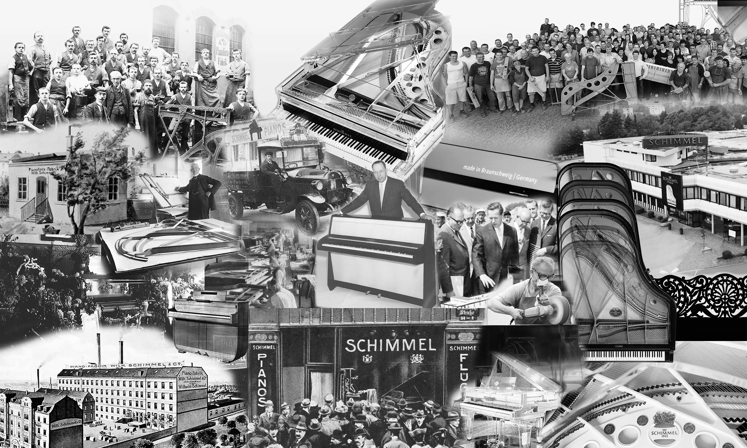 Schimmel Historie Titelbild