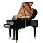 Classic 169 Tradition schwarz poliert