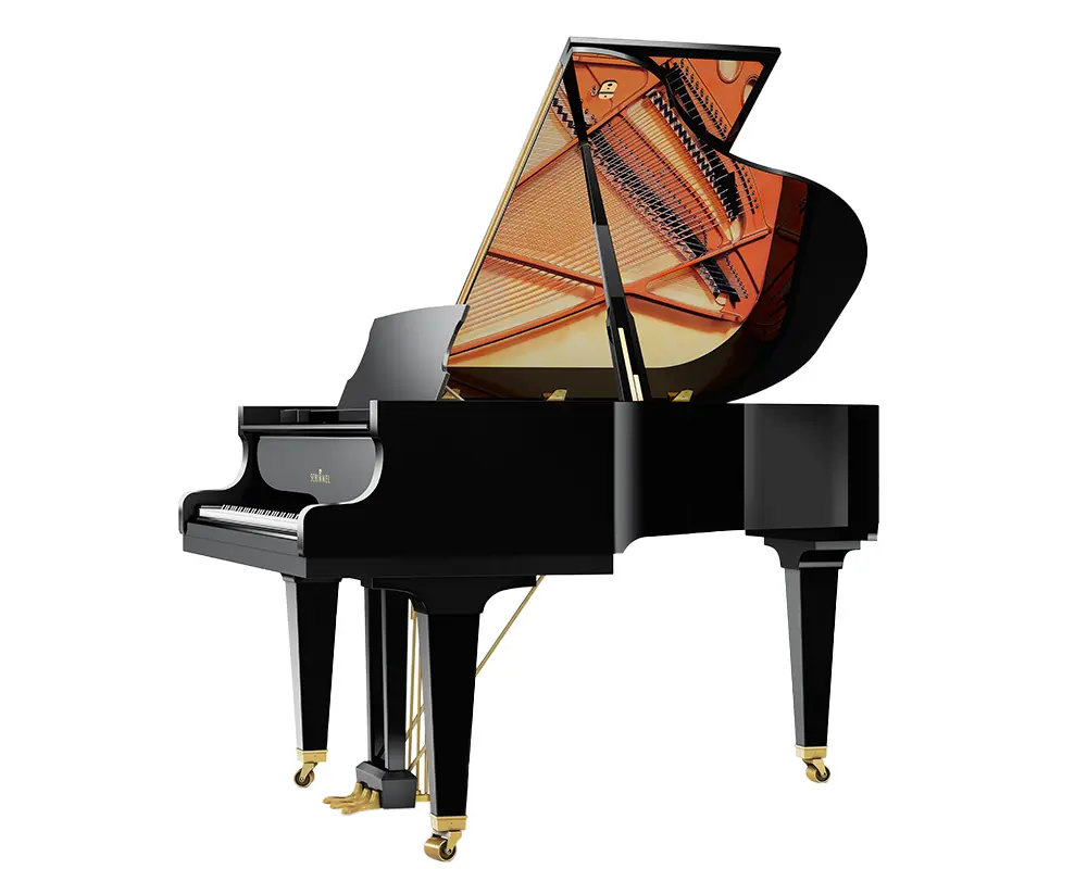 Classic 169 Tradition schwarz poliert
